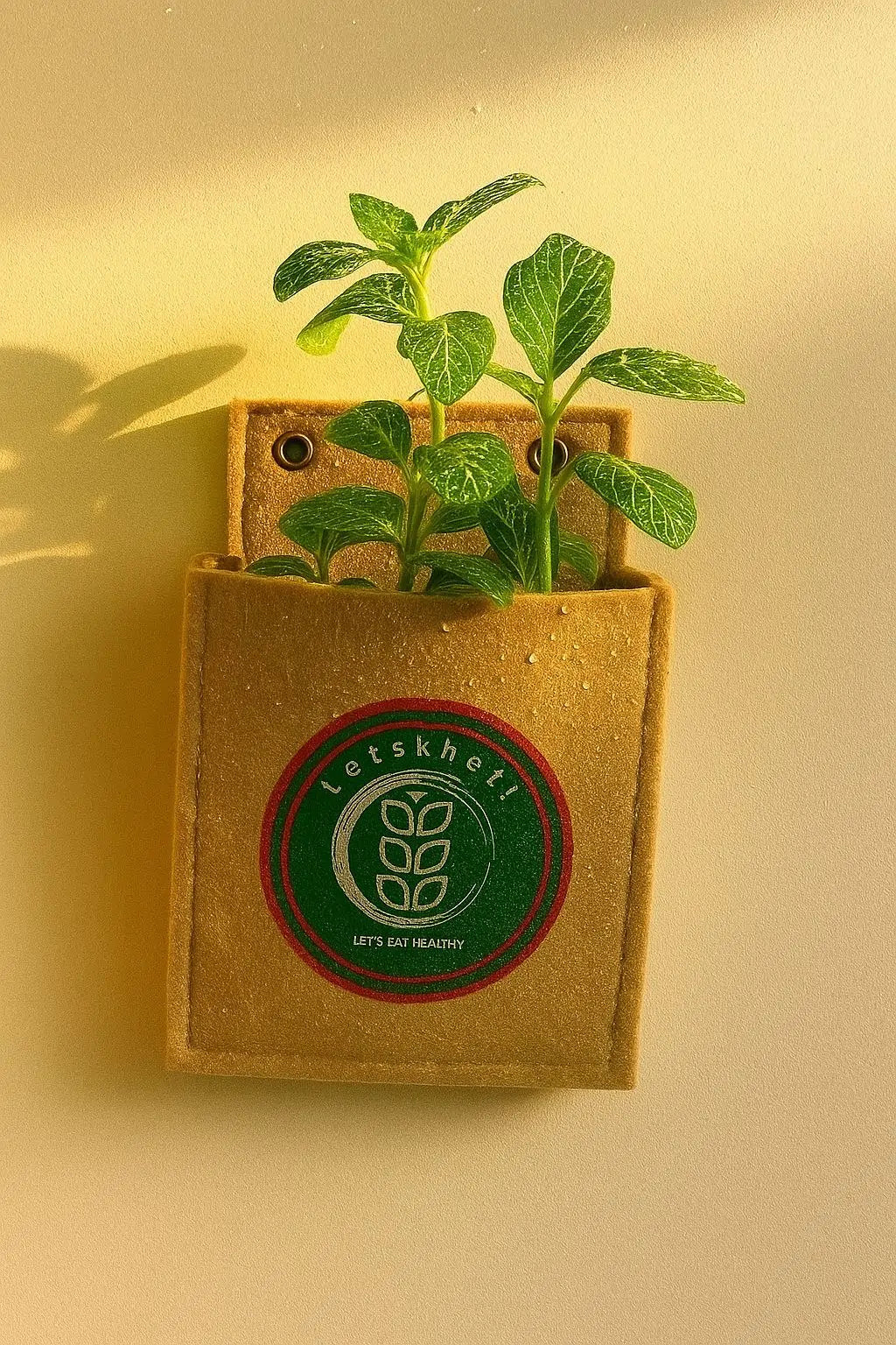Wall Hanging Planter - Freebie
