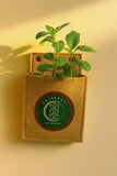 Wall Hanging Planter - Freebie