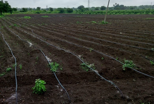 Drip Irrigation at Letskheti: Pioneering Regenerative Precision Farming - Hands On!