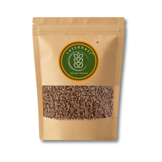 Khapli Wheat